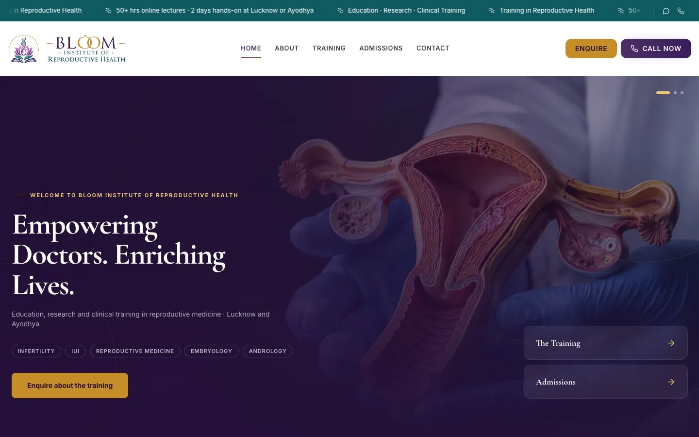 Bloom Institute of Reproductive Health website, home page